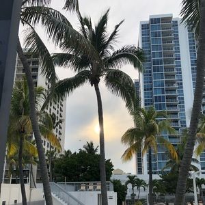 Meet your Posher, Arlette